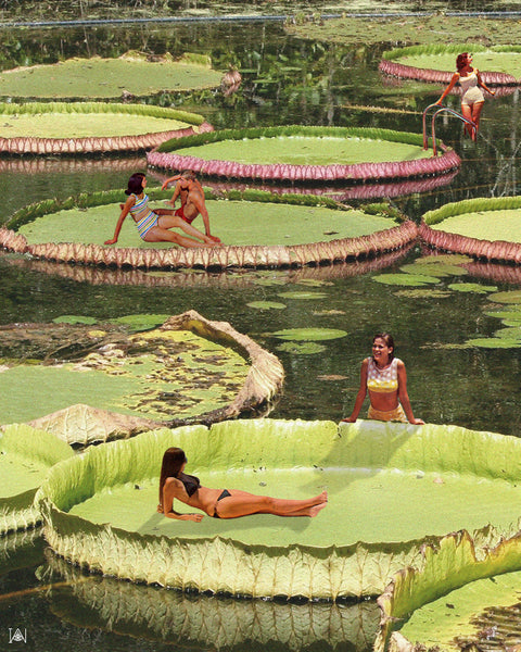 'Valley of the Lily' Art Print