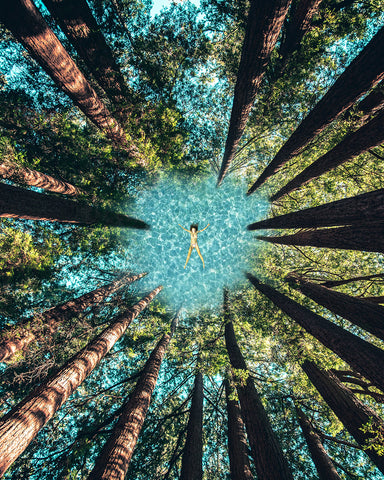 LIMITED EDITION Art Print: 'I'm in the trees'