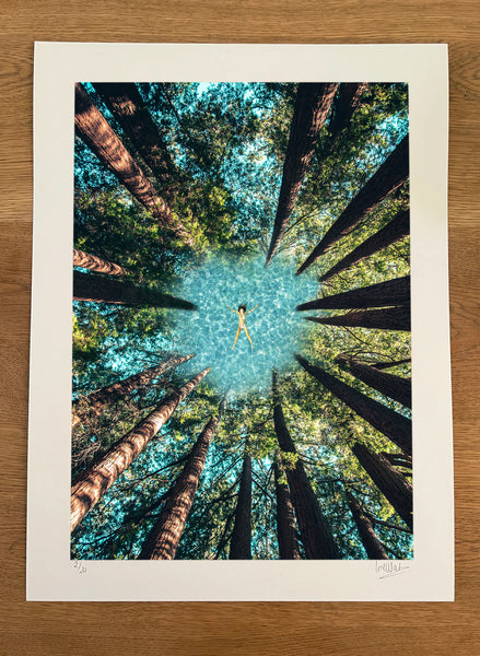 LIMITED EDITION Art Print: 'I'm in the trees'