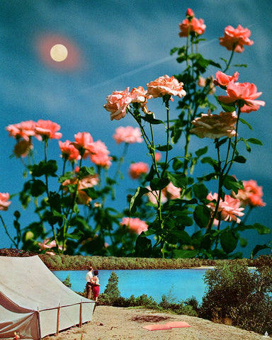 'Trip Field' Art Print